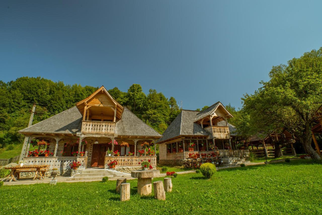 Casutele Din Moisei Hotel Exterior photo